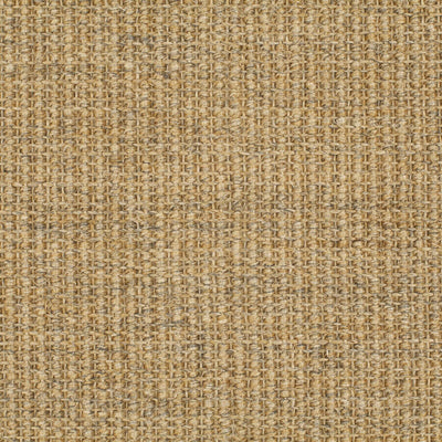 JAB Anstoetz Jamaica 3763-245 swatch