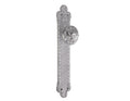Porte knob handles set on plates - 0D2424