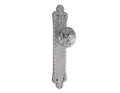 Tür knob handles set on plates - 0D2824