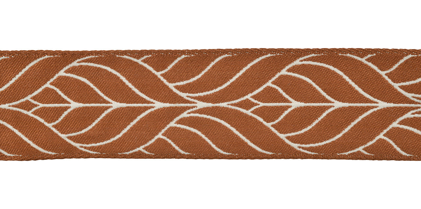 Pavone Braid 3