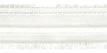 Xylia Braid