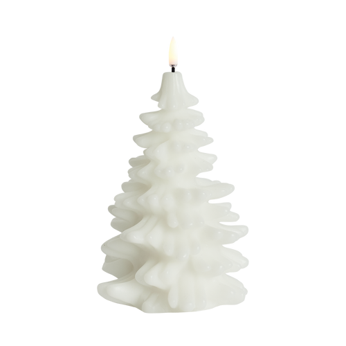 Blanc nordique