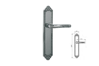 Porte lever handles set on plates - 0A3232