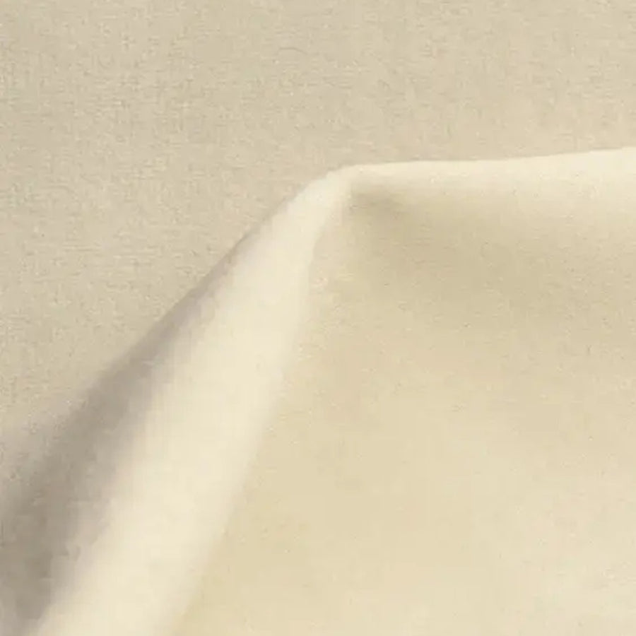 Bluvel 22 Cream velvet fabric - Dining Chair Canon - Alcantara Cream | Marcottestyle