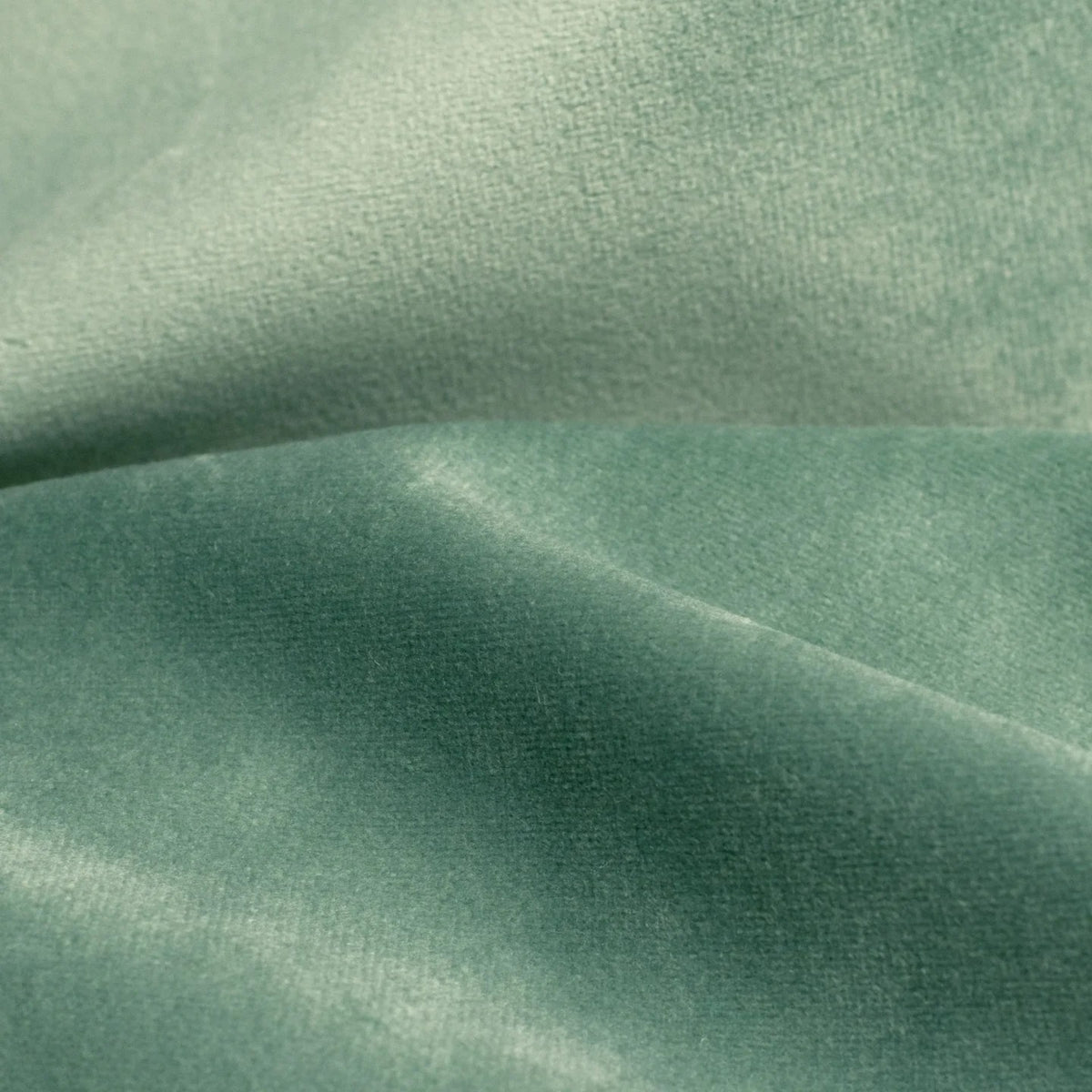 Bluvel 74 Sage velvet fabric - Dining Chair Canon - Alcantara Sage | Marcottestyle