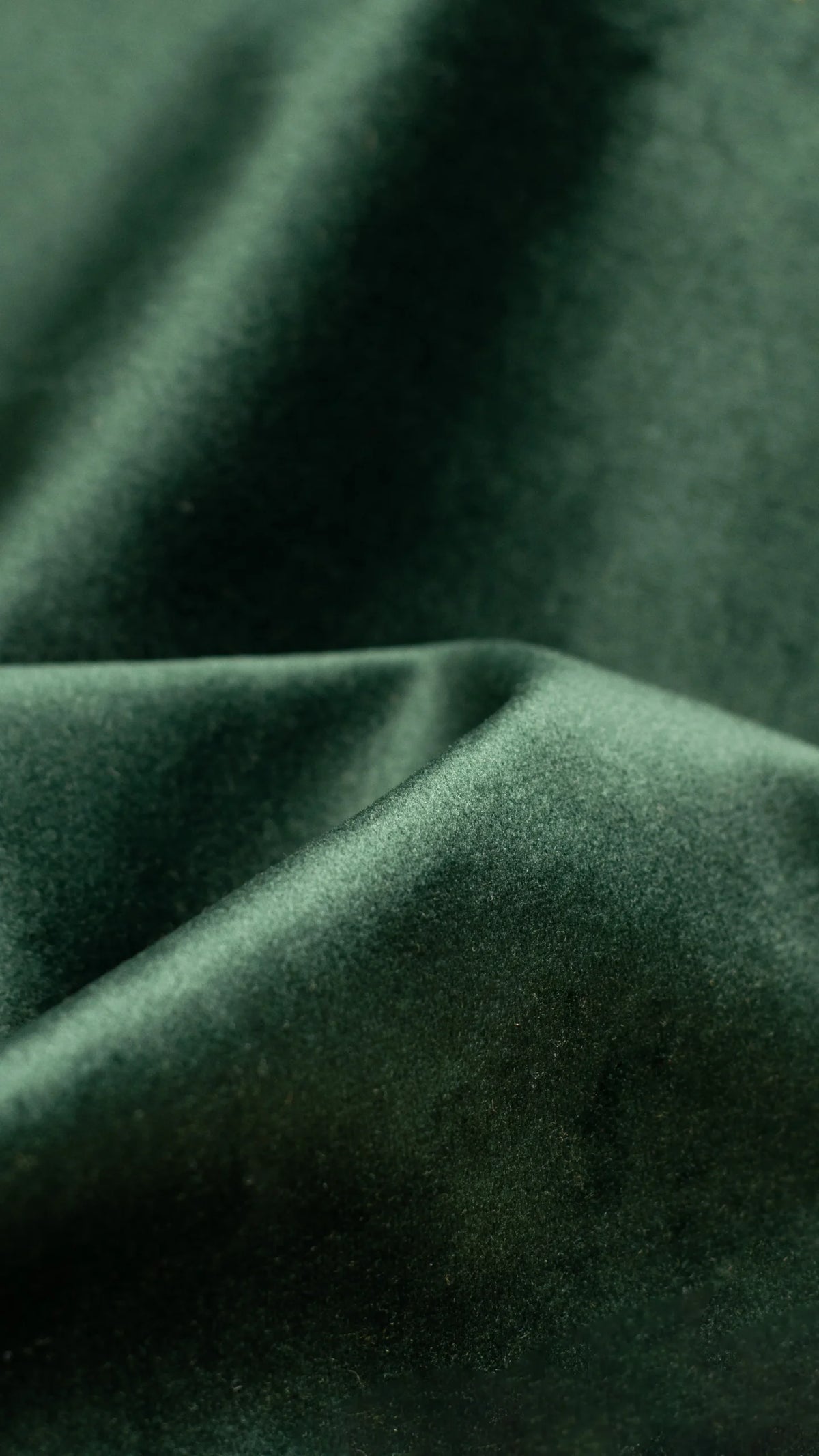 Bluvel 78 Forest Green velvet fabric