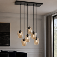 Ceiling Lamp Ase 1370L - Black