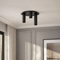 Ceiling Lamp Aurora 3125F