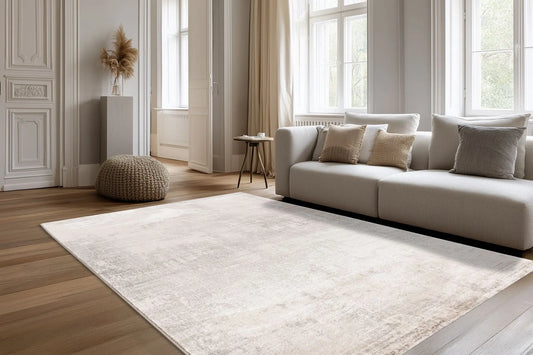 Low-Pile Rug - Estella Beige / Silver Distressed 3
