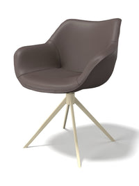 Chaise de salle à manger Leder padua Ebano / Champagne poot - MCS