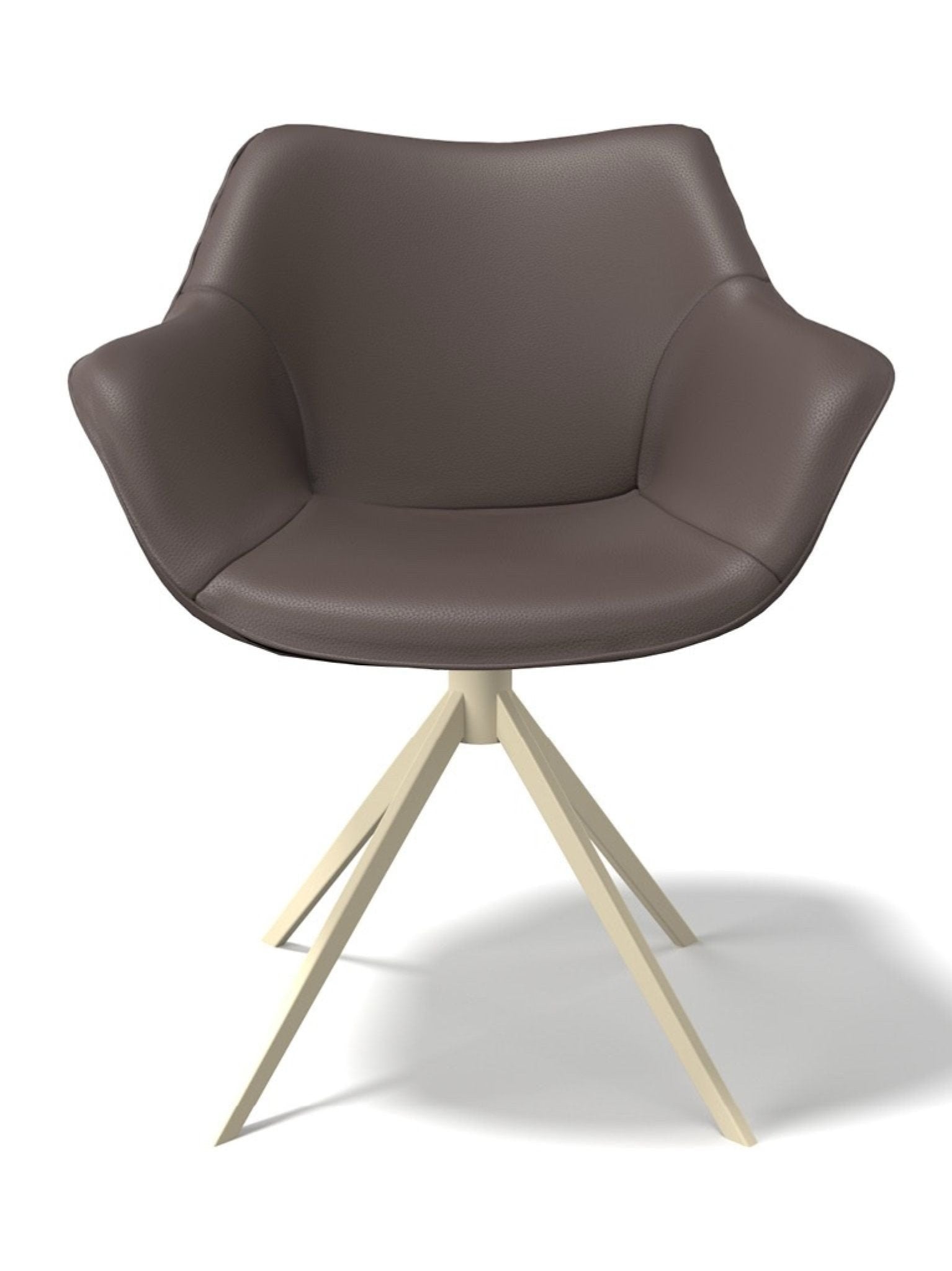 Chaise de salle à manger Leder padua Ebano / Champagne poot - MCS