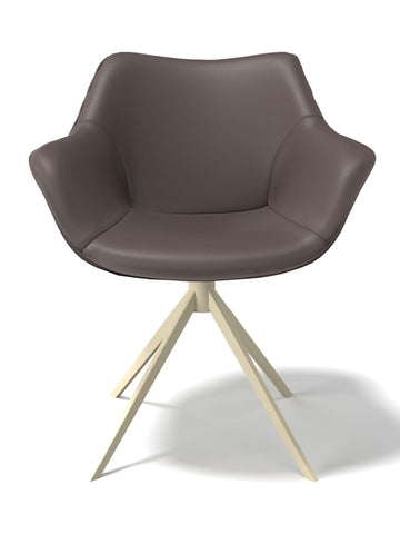 Eetkamerstoel Leder padua Ebano / Champagne poot - MCS