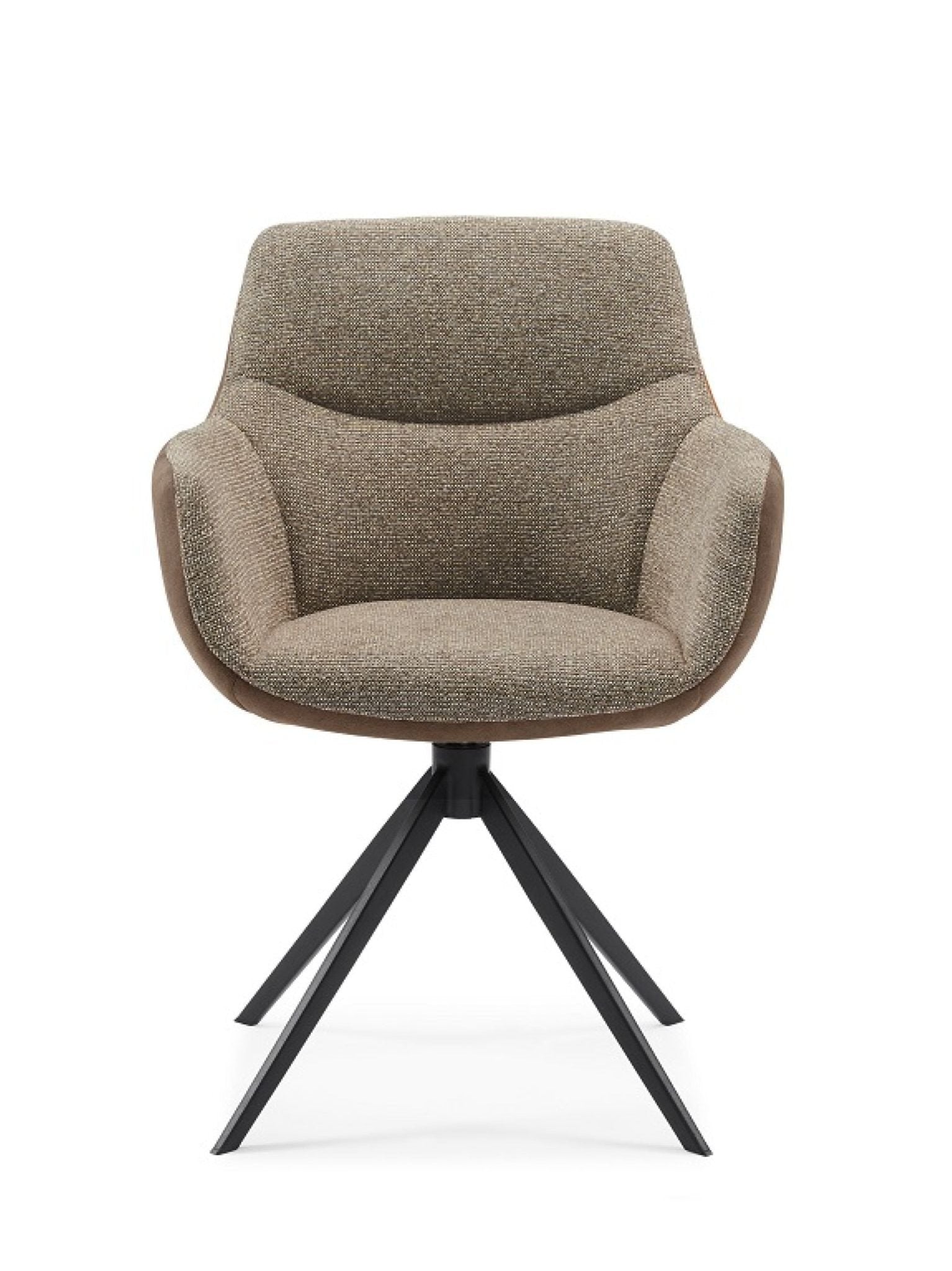 Ferrara Bull 10 Liver Sneak Liver dining chair - MCS