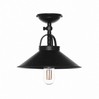 Ceiling Lamp Finn 5567Z Noir - Front view