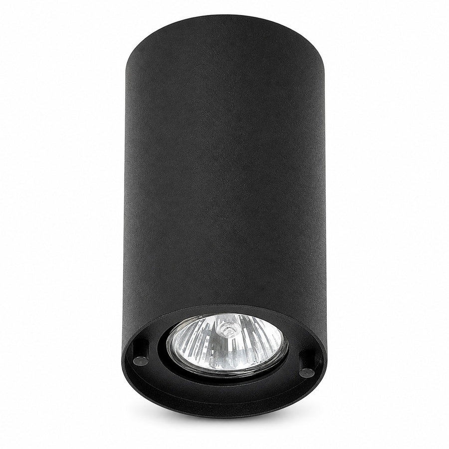 Ceiling Lamp Galia 4391G - Noir front