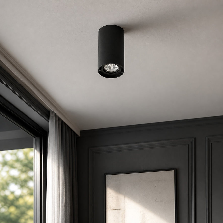 Ceiling Lamp Galia 4391G - Noir room