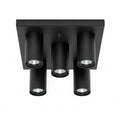 Ceiling Lamp Galia 2717A - Black