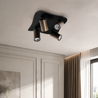 Ceiling Lampe Halvar 9768Y