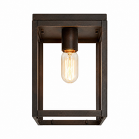 Ceiling Lamp Hela 9493A - Rust