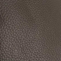 Adonis Recliner - Lift Function - Dark Taupe B901 Leather (incl. Battery)