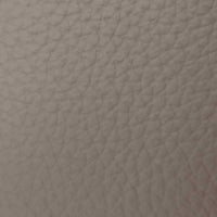 B942 elephant leather swatch