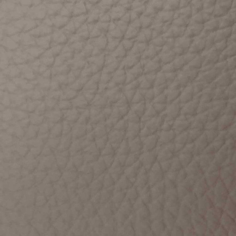 B942 elephant leather swatch
