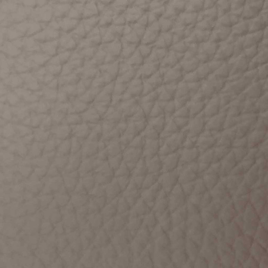 B942 elephant leather swatch