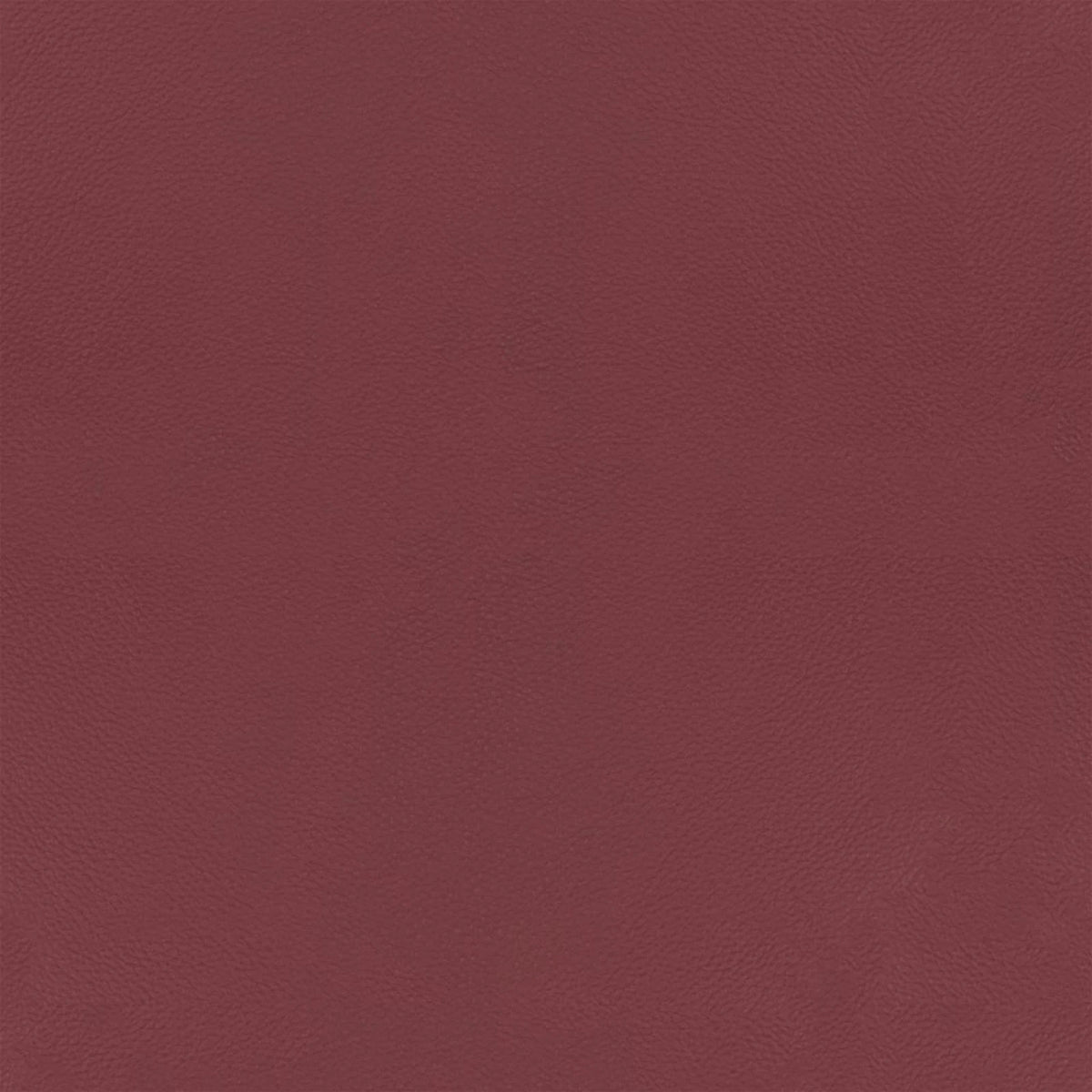 Leather B554 (brown), detail, Recliner Atlas 6685