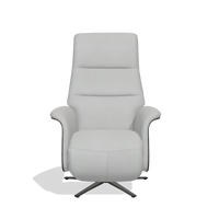 Recliner Atlas 6685 in Leather B904 (light grey), tobacco wood side panels, black metal base, front view