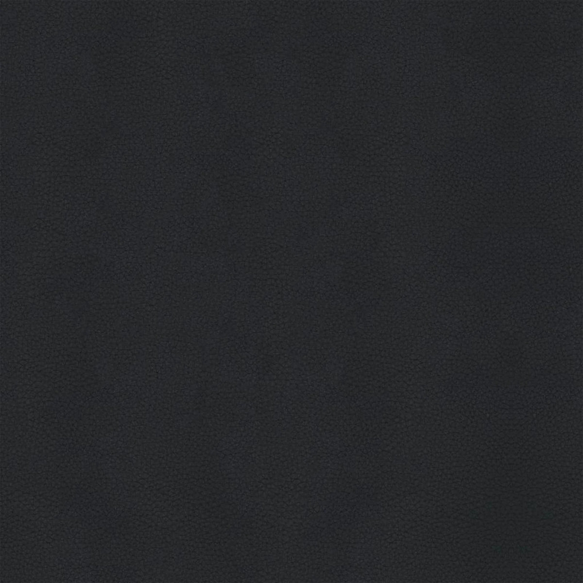 Leder B900 (Schwarz), Detail, Esszimmerstuhl ohne Armlehnen Bari 6405