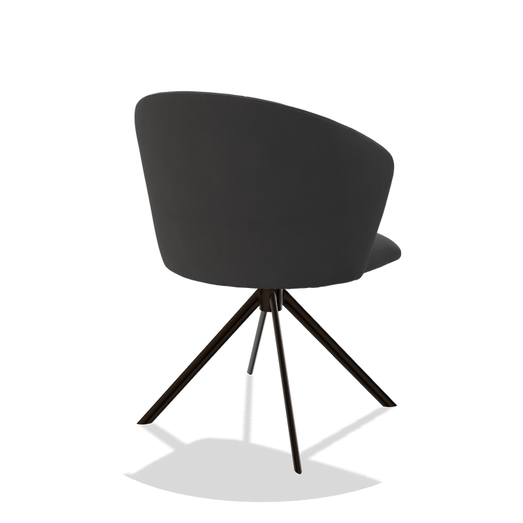 Chaise de salle à manger Bolzano 6644 en Cuir B905 (anthracite), pied pivotant en espresso, vue de trois-quarts arrière