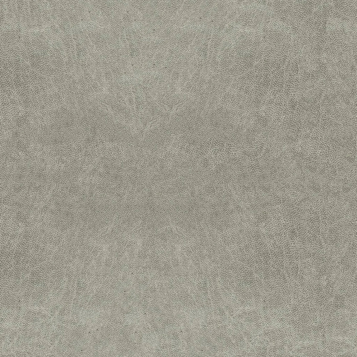 Stof Bull 65 (greige), detail, Eetkamerstoel Como 6450