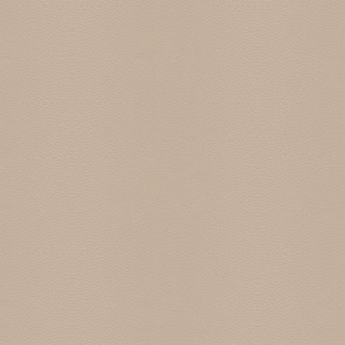 Leather B911 (sand), detail, Dining Chair Como 6450