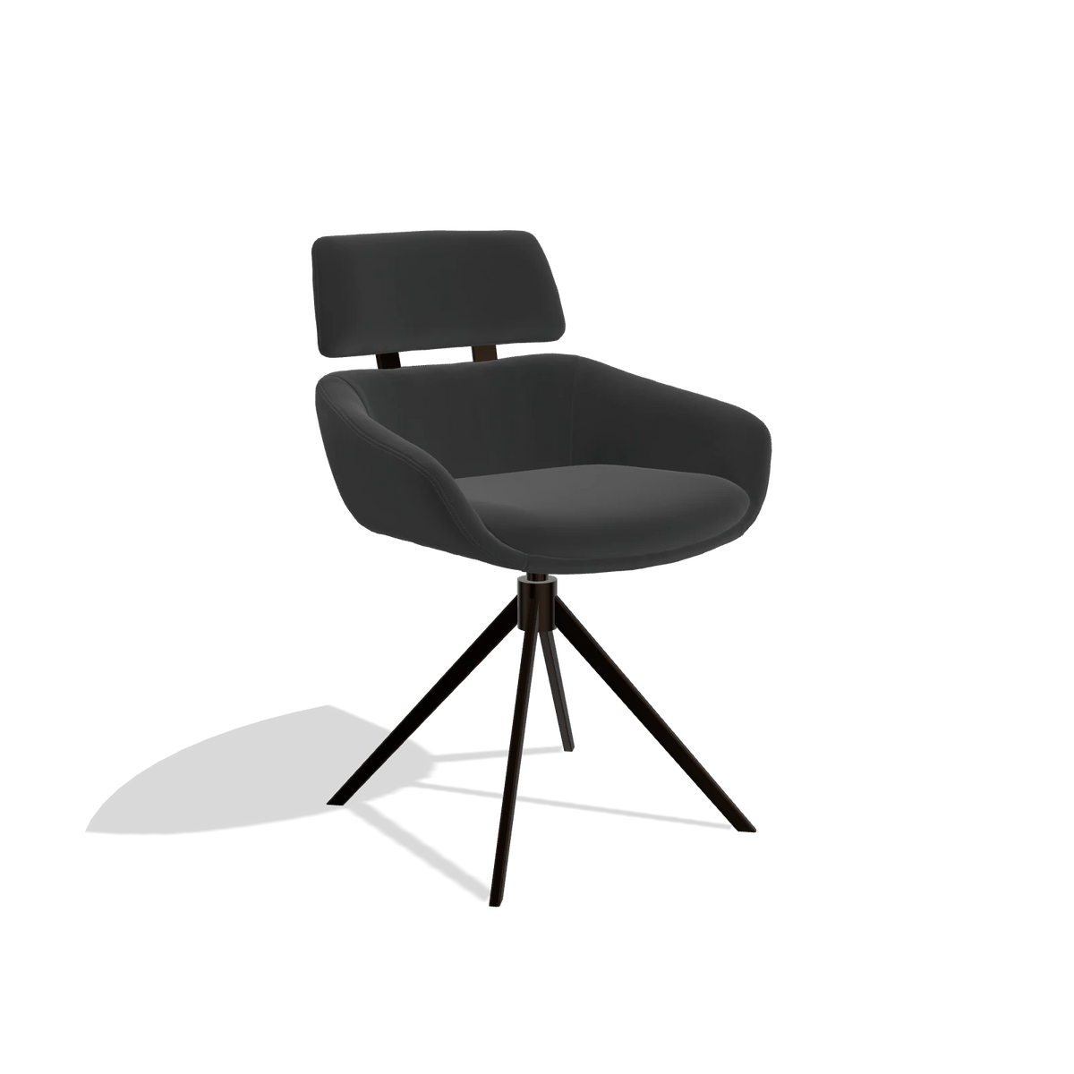 Sedia da pranzo Cyril 6609 in Pelle A804 (nero), base girevole in espresso, vista angolata