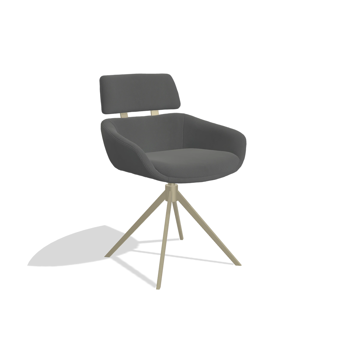 Dining Chair Cyril 6609 in Leather B502 (dark grey), champagne swivel base, angled view