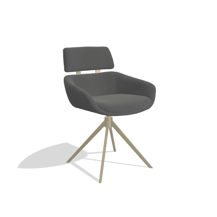 Dining Chair Cyril 6609 in Leather B502 (dark grey), champagne swivel base, angled view