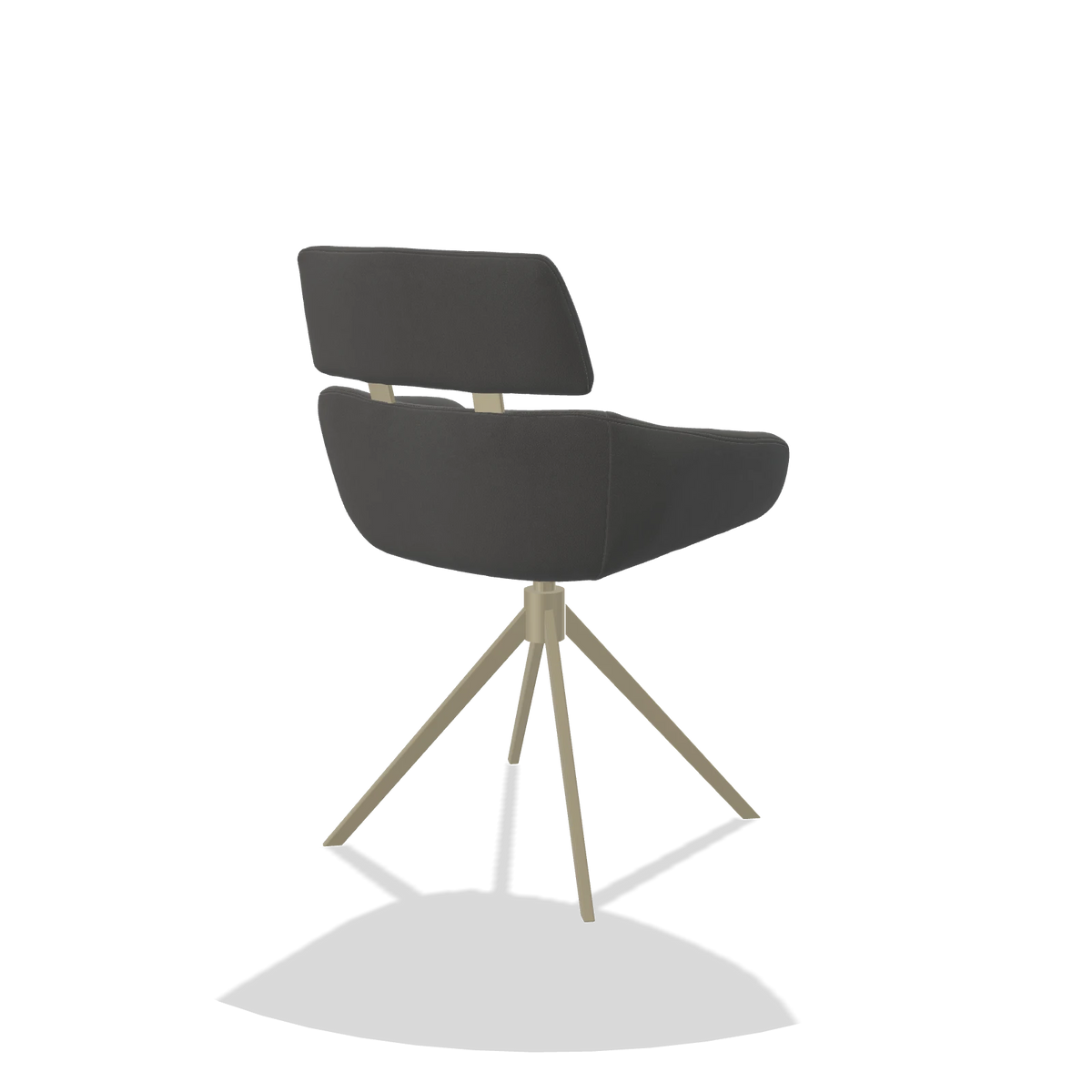 Dining Chair Cyril 6609 in Leather B502 (dark grey), champagne swivel base, back angled view
