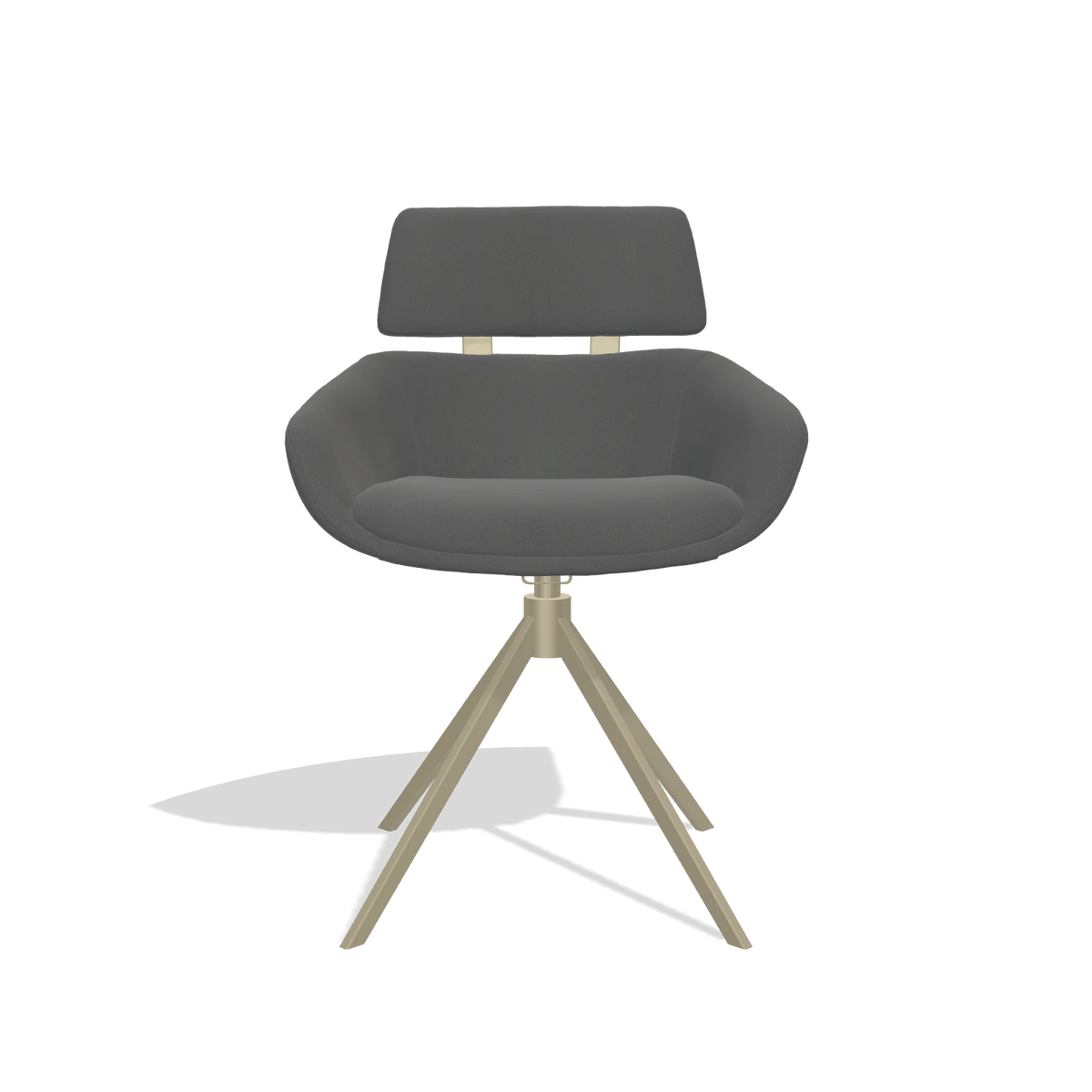 Dining Chair Cyril 6609 in Leather B502 (dark grey), champagne swivel base, front view