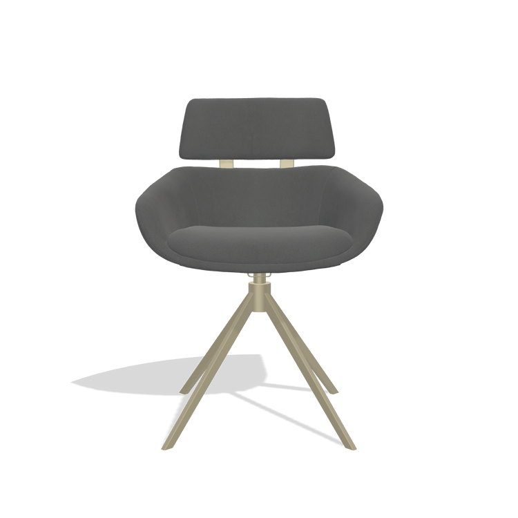 Dining Chair Cyril 6609 in Leather B502 (dark grey), champagne swivel base, front view