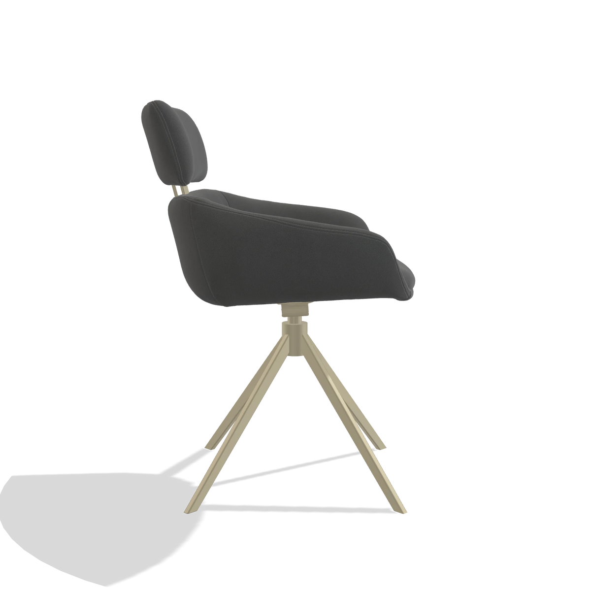 Dining Chair Cyril 6609 in Leather B502 (dark grey), champagne swivel base, side view