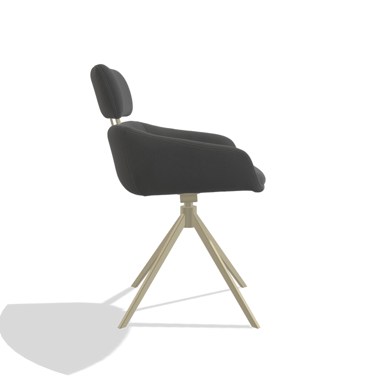 Dining Chair Cyril 6609 in Leather B502 (dark grey), champagne swivel base, side view