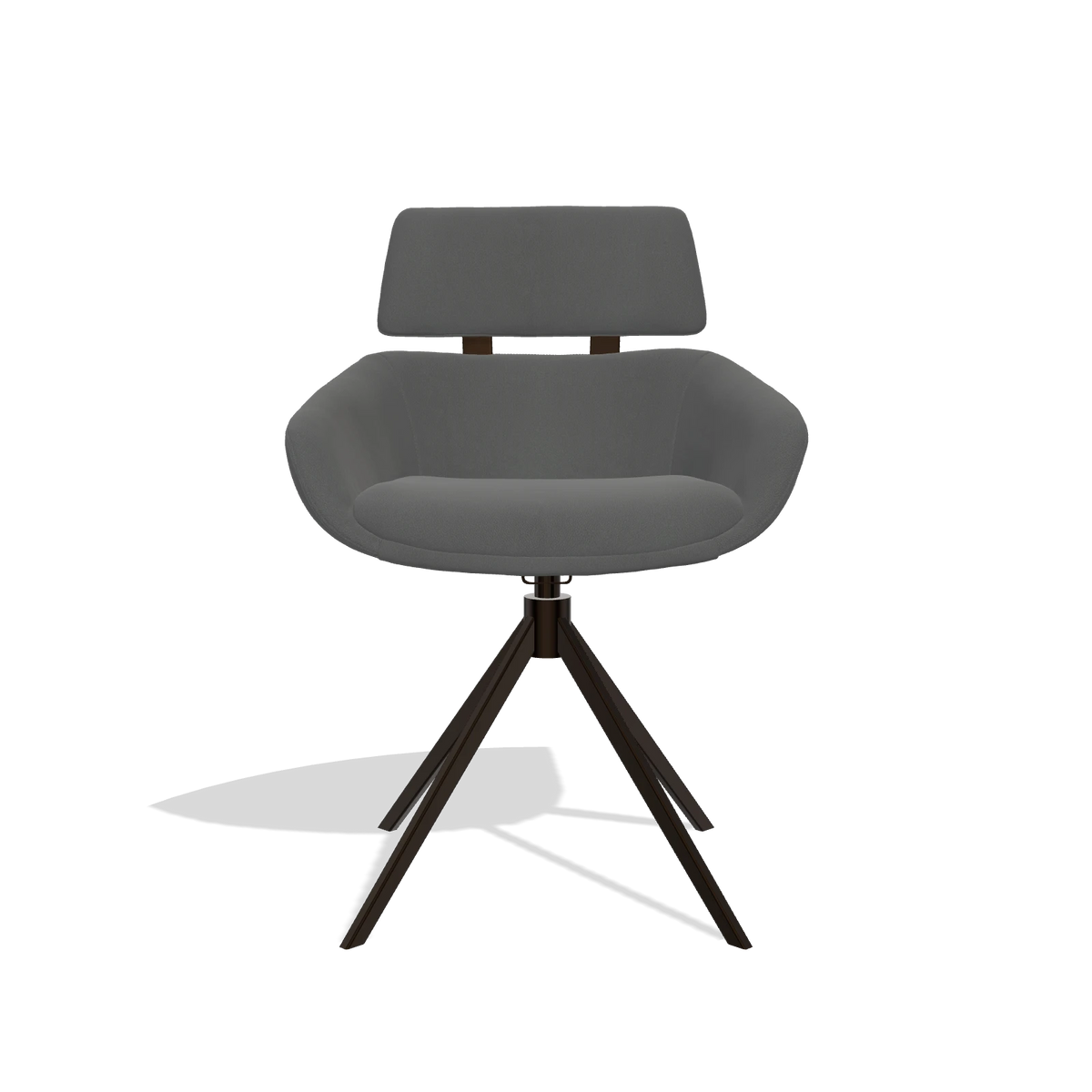 Dining Chair Cyril 6609 in Leather B502 (dark grey), espresso swivel base, front view