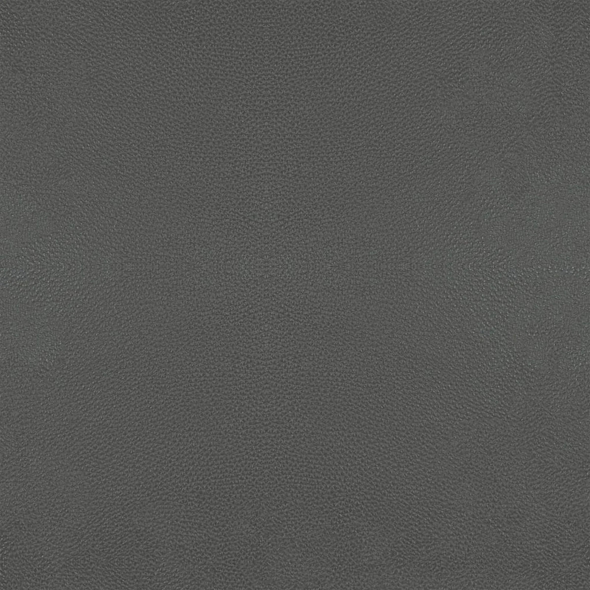Leather B502 (dark grey), detail, Dining Chair Cyril 6609
