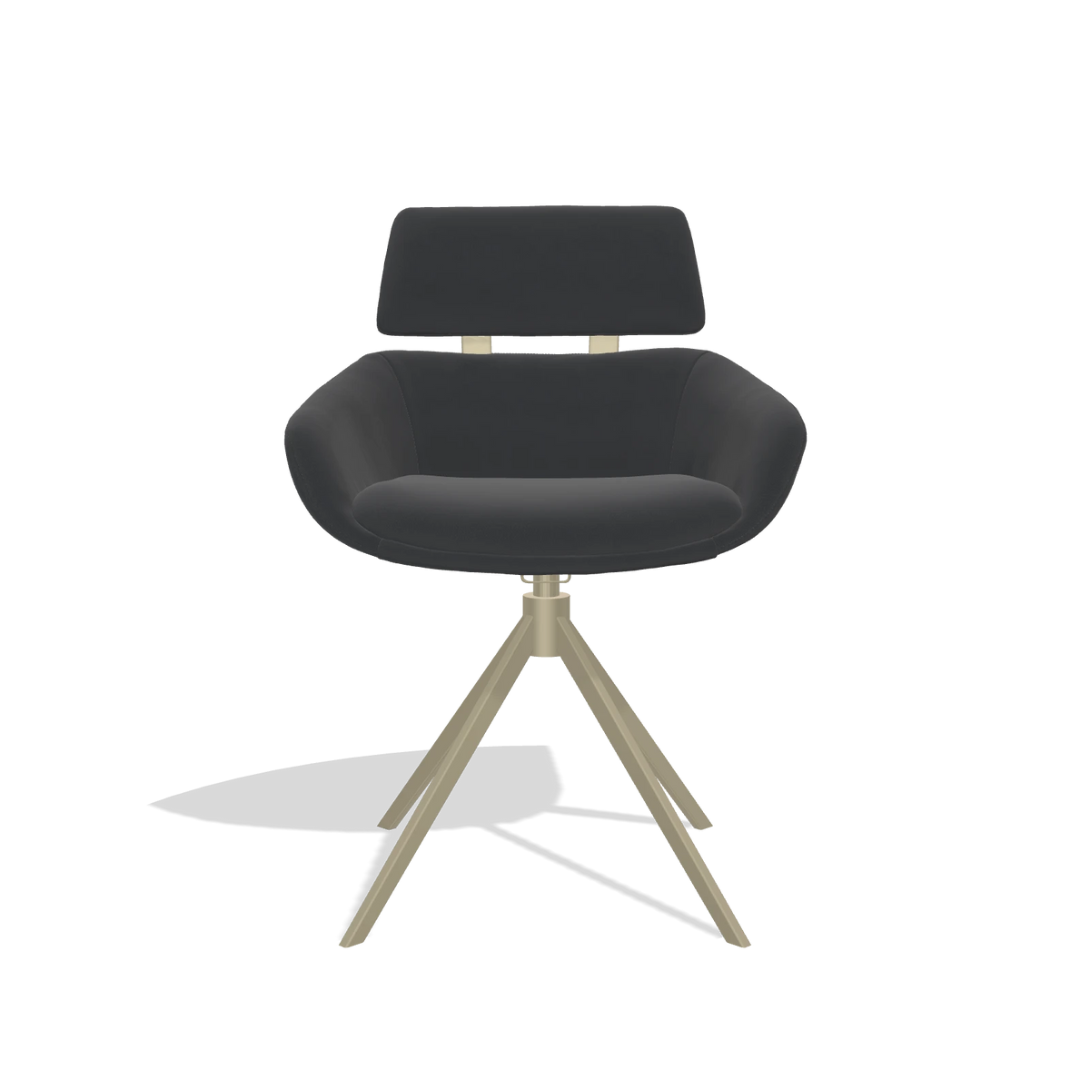 Dining Chair Cyril 6609 in Leather B900 (black), champagne swivel base, front view