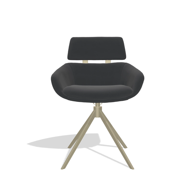 Dining Chair Cyril 6609 in Leather B900 (black), champagne swivel base, front view