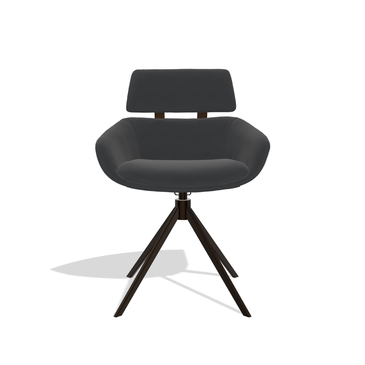Dining Chair Cyril 6609 in Leather B900 (black), espresso swivel base, front view