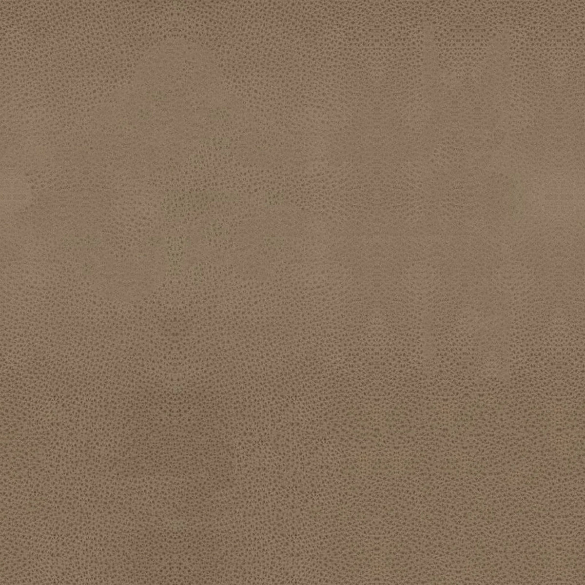 Leather B402 (taupe), detail, Dining Chair Elise 6612