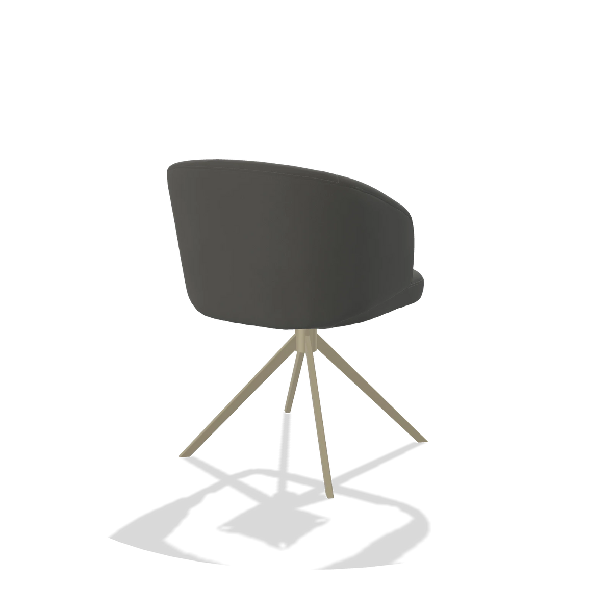 Dining Chair Elise 6612 in Leather B945 (dark grey), champagne swivel base, back angled view