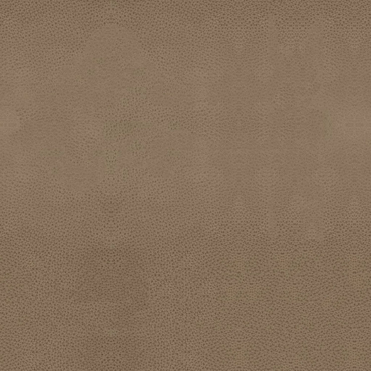 Leder B402 (Taupe), Detail, Esszimmerstuhl Gaston 6693