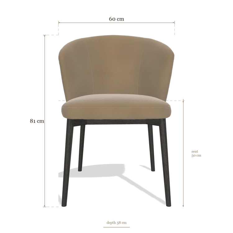Dining Chair Harmony 6636, dimensions 60 x 58 x 81 cm